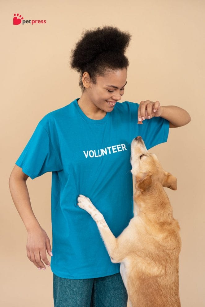 4 Celebrate Easter With Your Dog volunteer