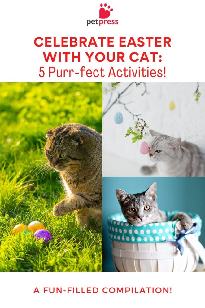 Celebrate Easter With Your cat