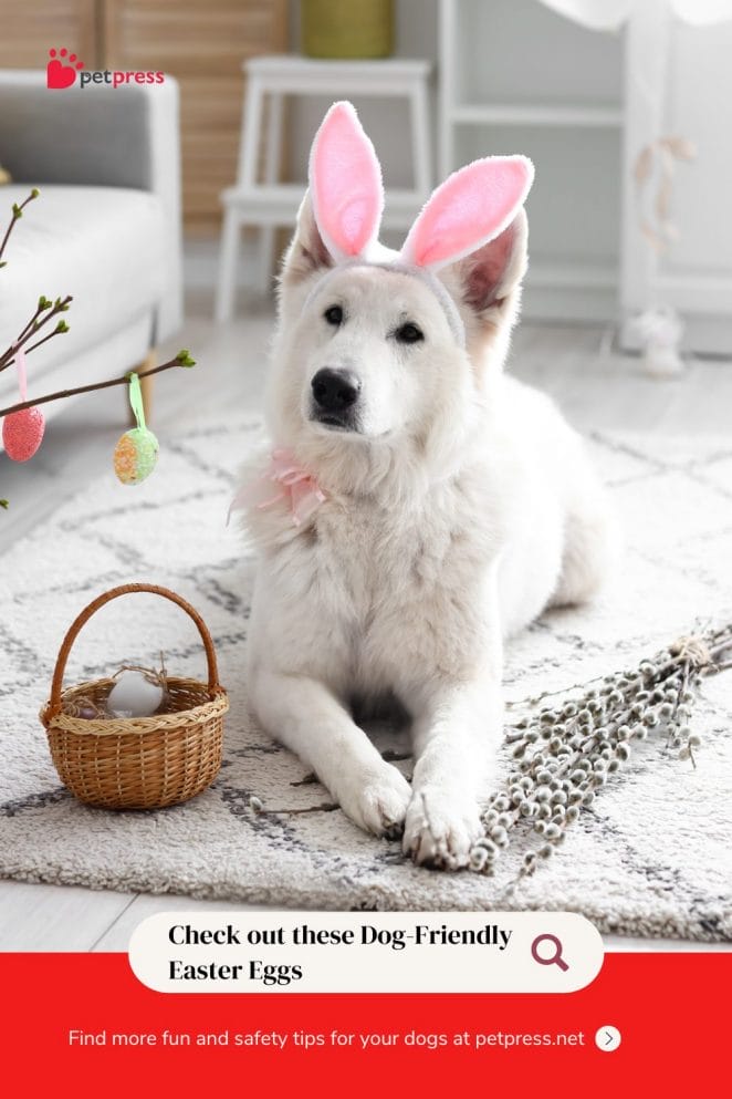 Easter Eggs for Dogs Safe or Risky