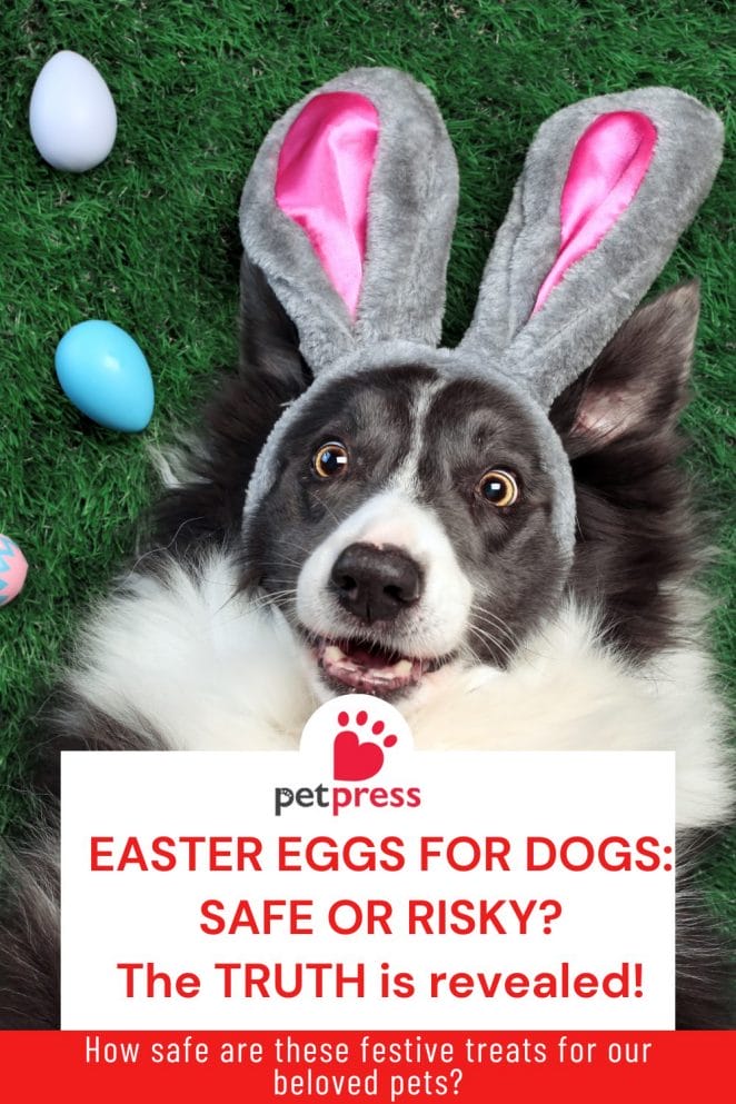 Easter Eggs for Dogs