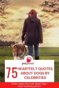75 Heartfelt Quotes About Dogs by Celebrities - PetPress