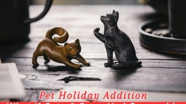 What if Cats & Dogs Had Opposable Thumbs Day