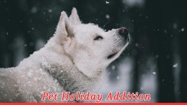 International Akita Day