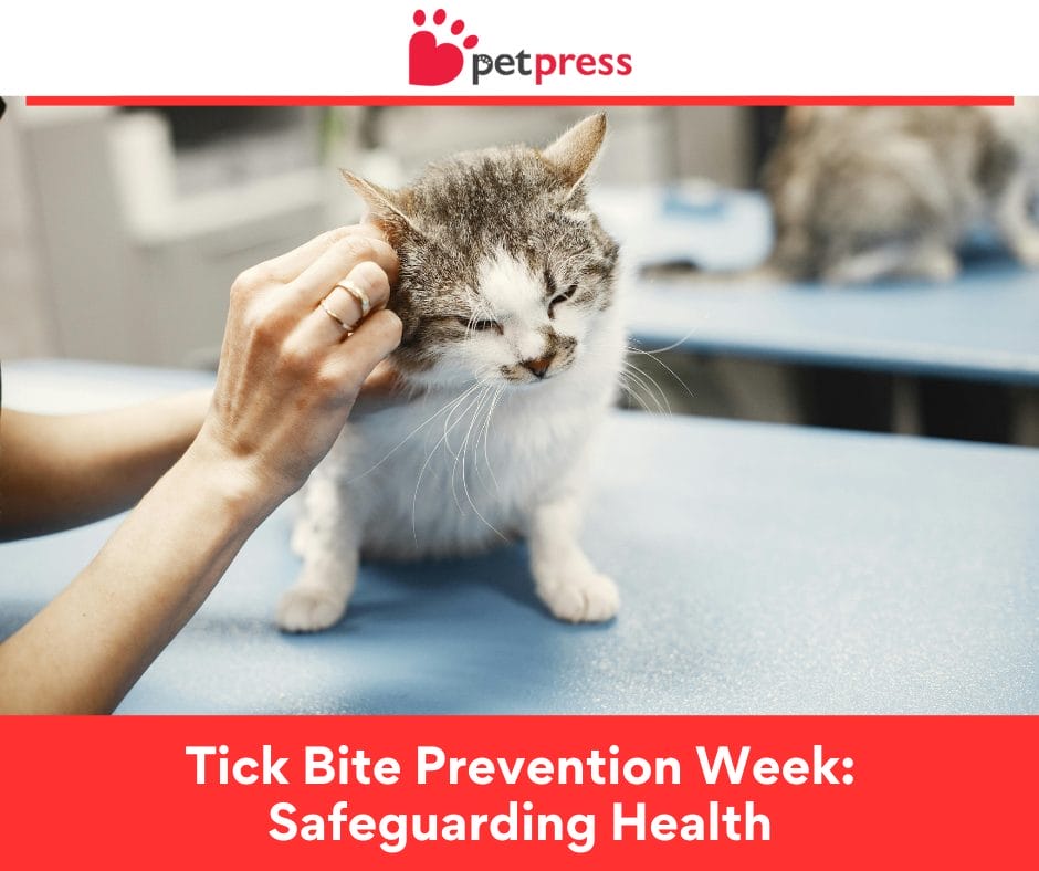 Tick Bite Prevention Week Safeguarding Health Petpress Tick Bite Prevention Week Safeguarding Health Petpress