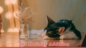 Saint Gertrude Of Nivelles Day