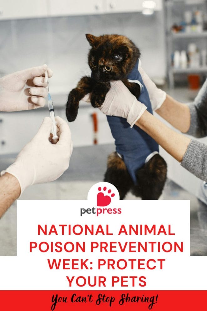 National Animal Poison Prevention Week