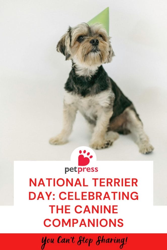 National Terrier Day