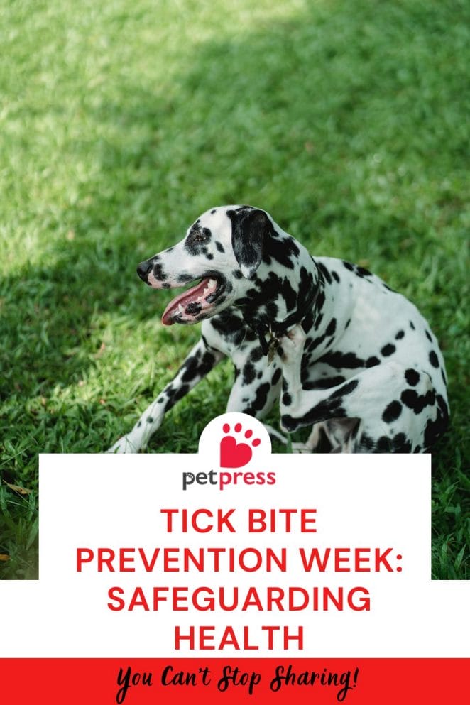 Tick Bite Prevention Week