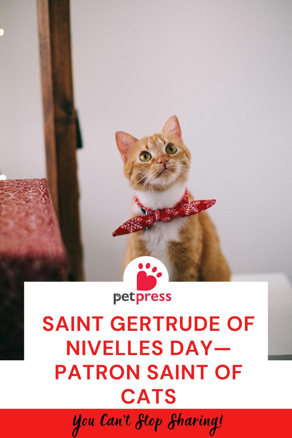 Saint Gertrude Of Nivelles Day— Patron Saint Of Cats - PetPress