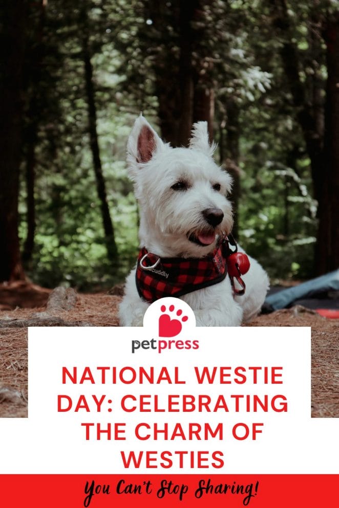 National Westie Day