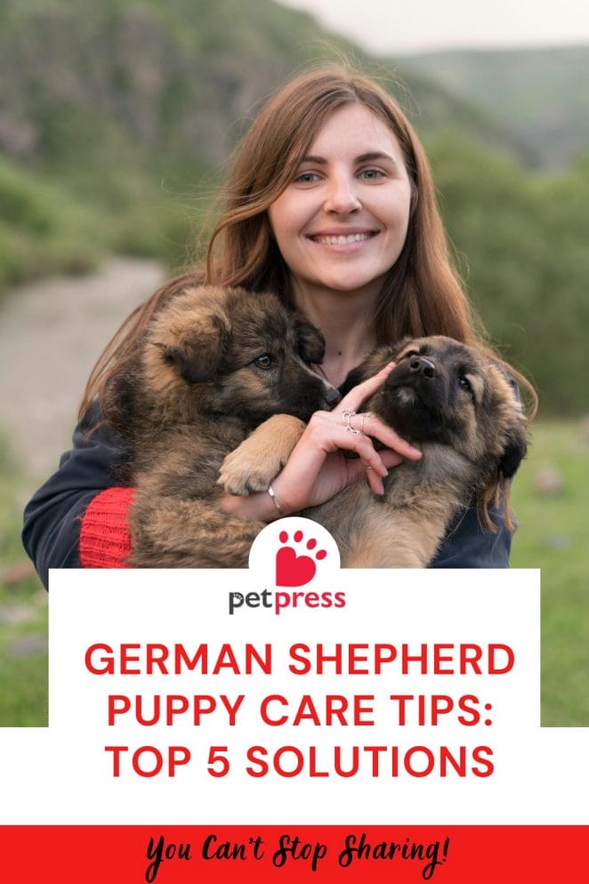 German Shepherd Puppy Care Tips