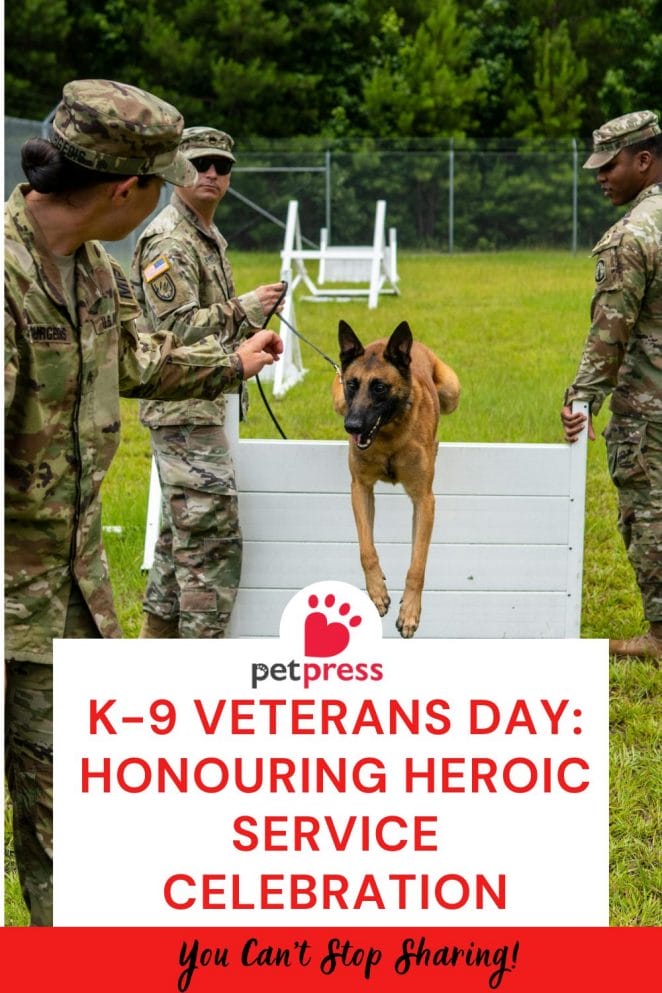 K-9 Veterans Day