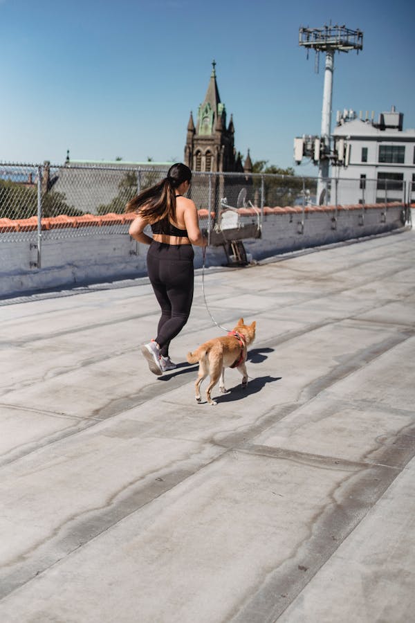 dog-jogging-tips