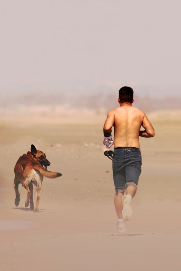 dog-jogging-tips