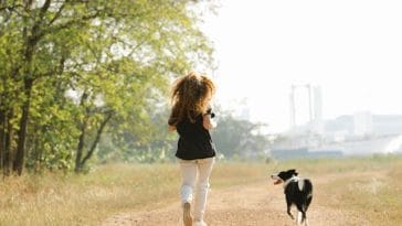 dog-jogging-tips