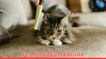 Hairball Awareness Day