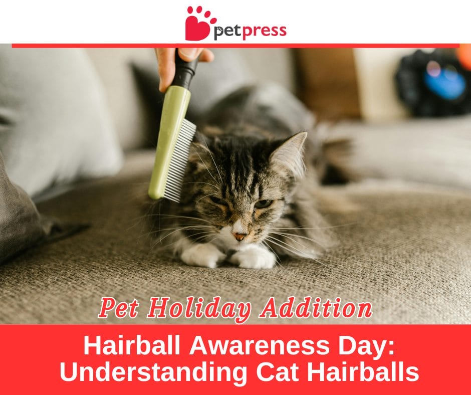 Hairball Awareness Day Understanding Cat Hairballs PetPress