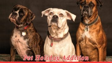 Every Day is Tag Day