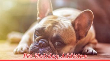 Lyme Disease in Dogs Month