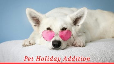 National Pet Health Insurance Day