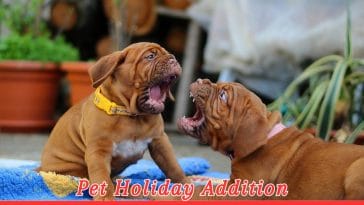 National Dog Fighting Awareness Day