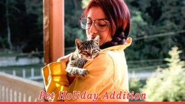 National Cat Lady Day