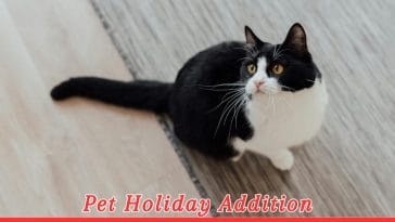 Sylvester the Cat’s Birthday