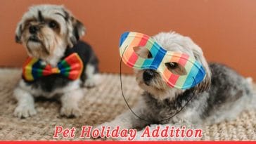 National Little Pampered Dog Day