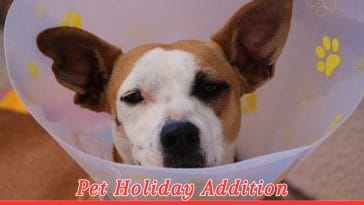 National Heartworm Awareness Month