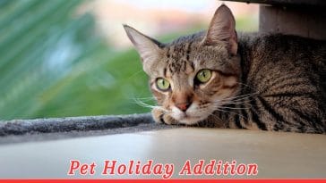 Adopt a Shelter Pet Day