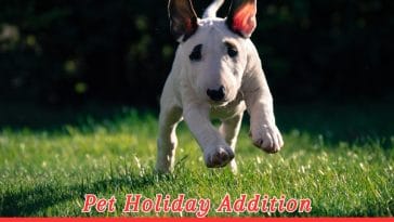 International Bull Terrier Day