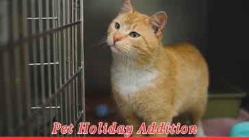 Animal Care and Control Appreciation Week