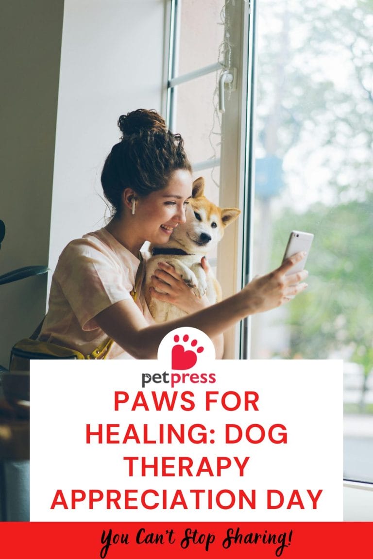 Paws For Healing: Dog Therapy Appreciation Day - Petpress