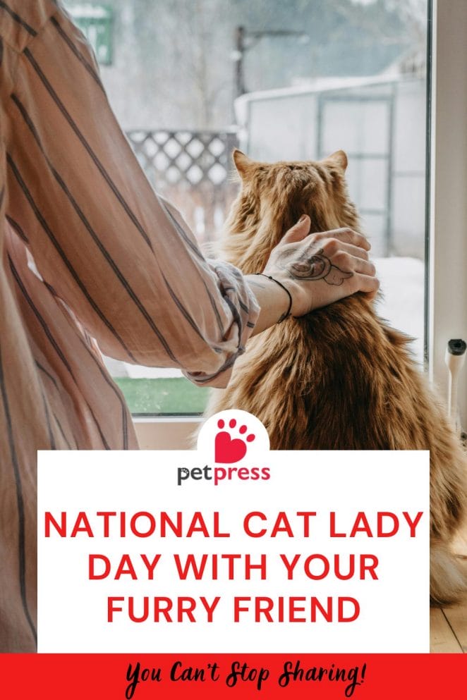 National Cat Lady Day