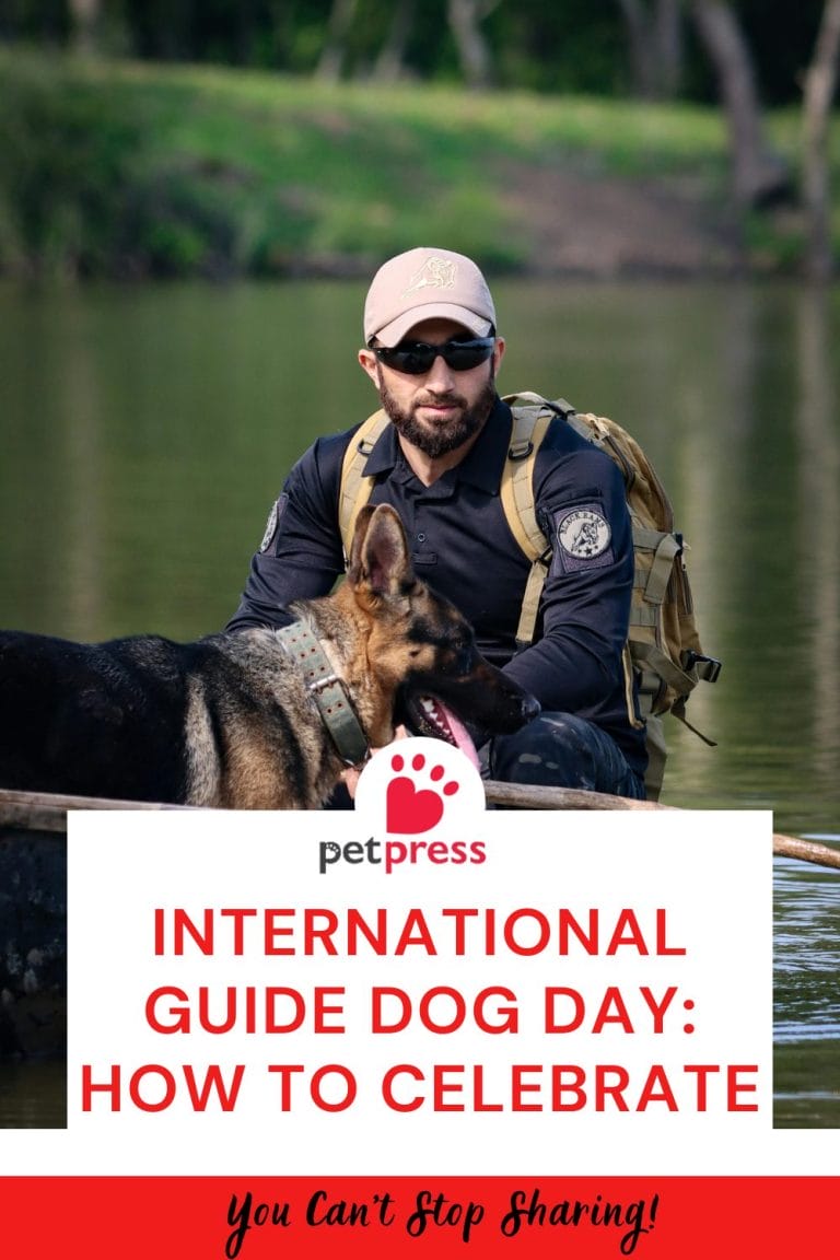 International Guide Dog Day 2025 Events 