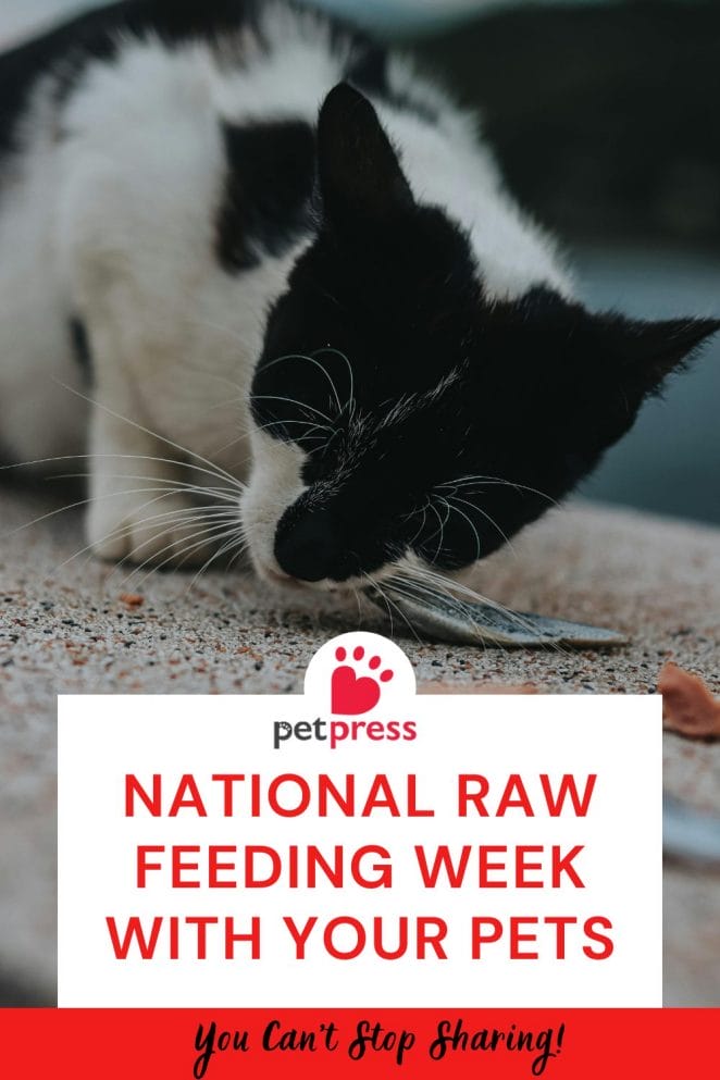 National Raw Feeding Week