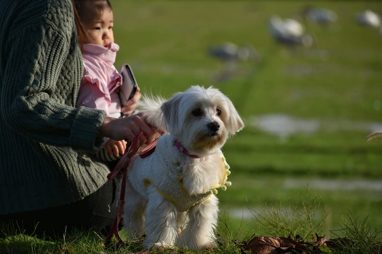 National Dog Parent Appreciation Day