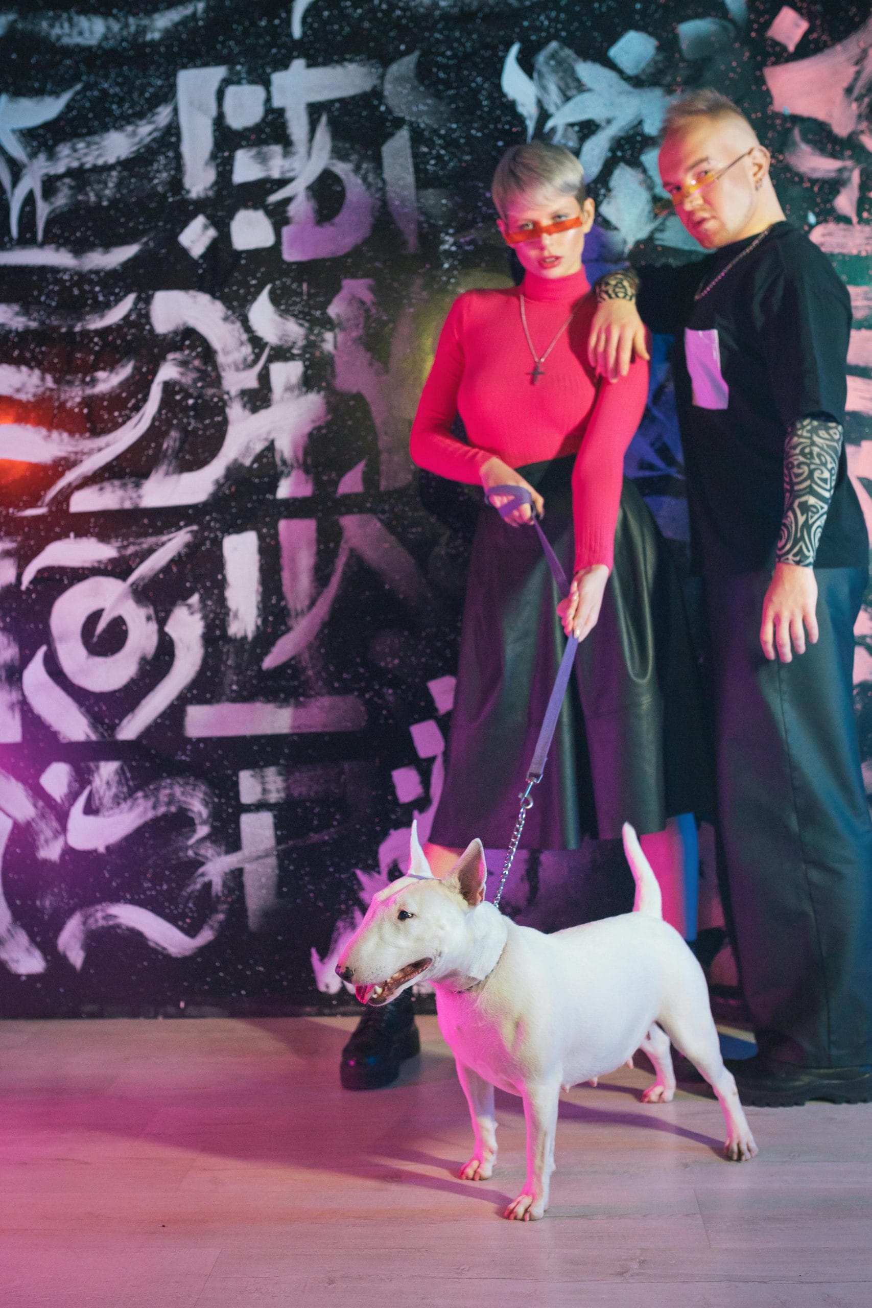 International Bull Terrier Day