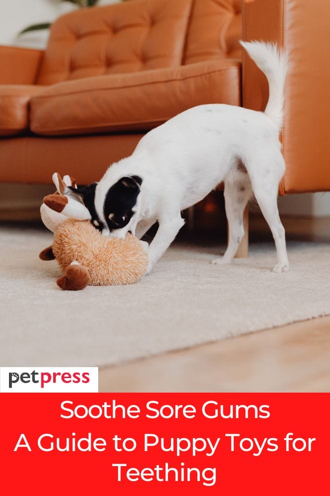 puppy toys for teething