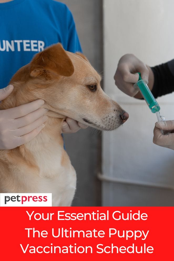 puppy vaccination schedule