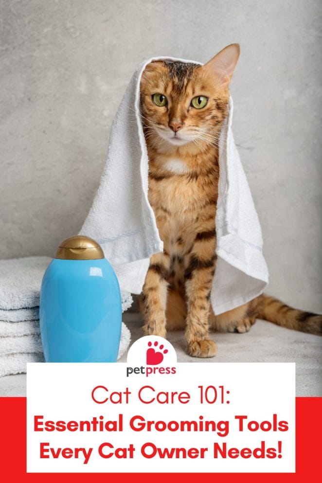Cat Care 101_ Essential Grooming Tools Every Cat Owner Needs