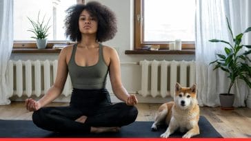 Dog Ownership Laws by State