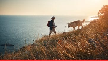 Dog Breed That Matches Your Lifestyle