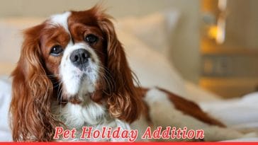 International Cavalier King Charles Spaniel Day