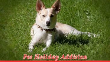 International Day of the Podenco