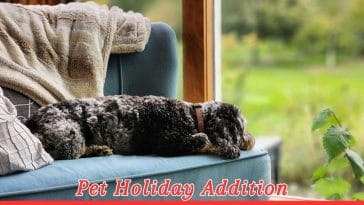 Dog Anxiety Awareness Week