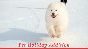 International Samoyed Day