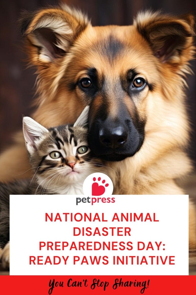 National Animal Disaster Preparedness Day: Ready Paws Initiative - PetPress