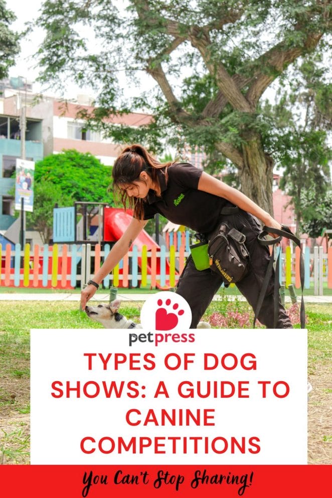 Types of Dog Shows