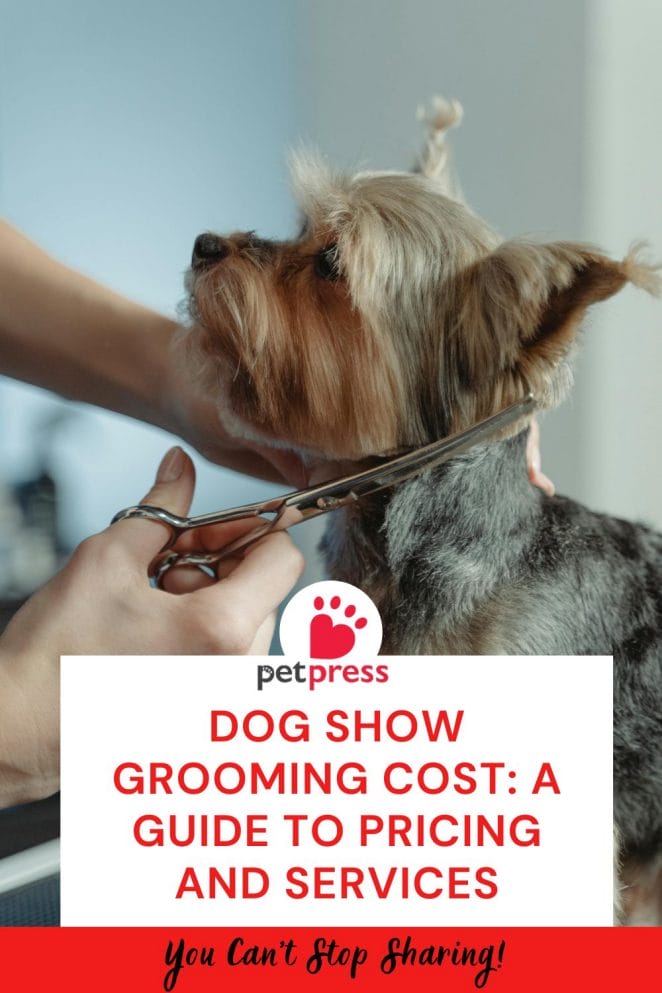 Dog Show Grooming Cost